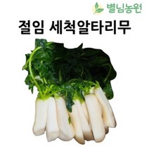 [별님농원] 절임알타리무 3kg 5kg 10kg 국내산 천일염으로 절인 손질 세척 알타리무 총각무, 세척 절임알타리5kg