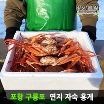 이츠올릿 포항 구룡포 연지 자숙 홍게 4kg 울산 영덕 박달 대게 대구 울진 홍개, 상세페이지 참조, 박달급_4kg 10미 （수율 80%내외）