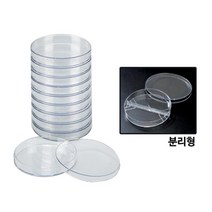 과학실 실험실 연구실용 플라스틱 샬레 실험기자재 연구교재 실험교구 연구수업 실험수업 과학기자재, 1개, B형