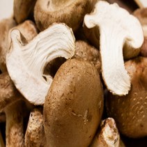 조아라샵 문경 유황 송화버섯 암에좋은버섯, 유황 송화버섯 슬라이스 100g