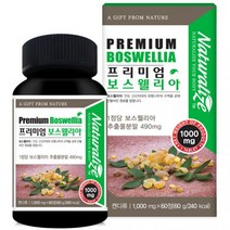 식약처인증 보스웰리아 상어연골 콘드로이친 고함량 보스웰릭산 초록입홍합 관절 고관절 무릎 허리 다리 연골 영양제 약2개월분(약케이스증정), 60정, 두병(120일분)