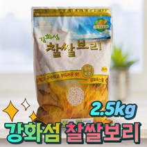 고인돌 강화섬 찰쌀보리 햅곡 찹쌀보리 찰보리 2.5kg, 단품