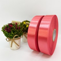 포장 리본 끈 제이제이리본 고밀도주자 45M 2롤 76칼라 (3mm 5mm), 5mm, C75