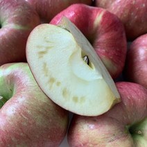 푸드마실 껍질째먹는 햇사과 경북 청송 안동 산지직송, 1박스