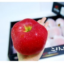 강원도 정선사과 사과선물세트 5kg 3kg 햇사과 부사 겨울사과, 1박스, 정품 사과 5kg(18과내)