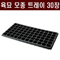 [주식회사 범농] 육묘 모종트레이(30장) - 육묘장 수목 묘목 배추 고추 상추 양파 대파 마늘 트레이 화분, 40구