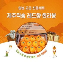[제주농장직송] 프리미엄 선물세트 레드향 한라봉 2kg 3kg 5kg, 레드향3kg(선물용 고급) 7-14과