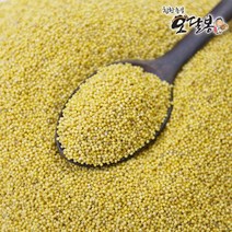 특품 2022년 국산 노랑차조 노란차조, 1개, 5kg