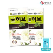 광동제약 내가그린 빠른허브 염색약 카페헤어칼라, 빠른허브2호연한흑갈색 2개+헬시링크마스크1팩