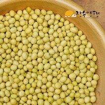 콩나물콩 700g