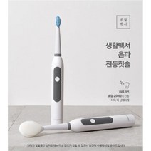 1+1 음파 휴대용 퓨어 진동 교정전동 칫솔, 민트