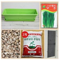 행복한세상 텃밭가꾸기 대 그린 부추, 2개