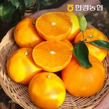 [한경농협]제주 천혜향 2kg/4kg, 천혜향 4kg 대과(9-17과)