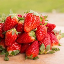 [산지직송] 지리산 산청 딸기 생딸기 설향딸기 킹스베리 제철 과일 1kg, <b.2> 킹스베리 왕특” class=”wr-img”></a></div>
</p></div>
</p></div>
</p></div>
<div class=
