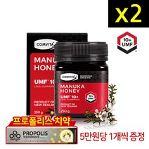 콤비타 마누카 꿀 UMF 10+ 250g 2개 + 프로폴리스치약