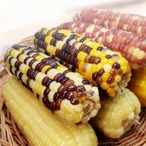 옥수수 찰옥수수 냉동옥수수 어르신간식 아이들간식, 황찰