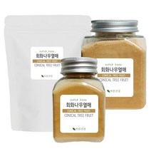 바른건강 스푼증정 회화나무열매 추출 분말 가루 회화나무 열매 추출물 괴각추출분말 회화나무열매분말100%, 2개, 300g