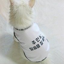 미얌 주인님 말씀을 잘듣자 민소매 면 티셔츠 강아지옷, 그레이