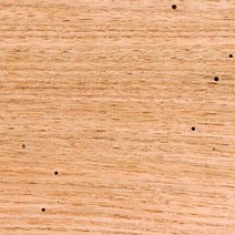 Woodchucks Wood 단풍나무 1.9cm3/4인치 x 5.1cm2인치 40.6cm16인치 단단한 견목 목재 도마 6팩 USA 미국, Butternut x 6
