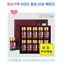 정직한삼 졍셩갸득 6년근 홍삼 산삼배양근 1박스 10병 10일분/당일출고, 2박스, 1박스10병750ml