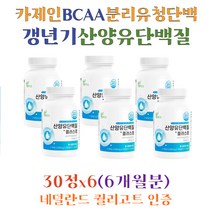 카제인 BCAA 분리유청 산양유 프로틴 헬스 WPI 유청칼슘 류신 아미노산 밀크세라마이드 엽산 히알루론산 50대 60대 여성 단백질 보충제