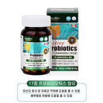 액티브 프로바이오틱스 60캡슐 청소년 알약 장에좋은 수험생 lgg rgg유산균 락토바실러스 람노서스