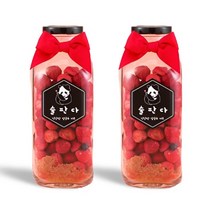딸기베리주 담금주 키트 200ml 과일주 만들기 세트 술판다, 딸기베리주키트 200ml 2병