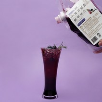 자일로스 담은 수제 과일청 블루베리 1kg, 단품, 단품