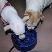 애견 온열식기 식판 히팅 볼 유선 사료 온도조절 항온, 네이비 블루