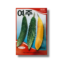 비타민c 모모루데신 함유 여주 종자 여주씨앗 10립/ 샐러드 볶음요리용 채소