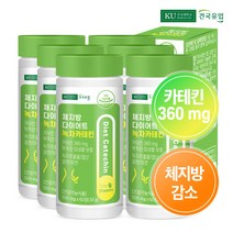 [건국] 체지방 다이어트 녹차카테킨 60정x6개(6개월), 6개, 30g