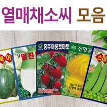 살아있는 씨앗 모음 열매씨앗 여주 우엉 박 토마토 참외 수박 오이 호박 가지 옥수수 깨 콩 팥 수수 밀 배추 양배추 열무 알타리 당근 무 비트 콜라비 고추 파프리카 종자, O-PR노나다고추 x 1개, 1개