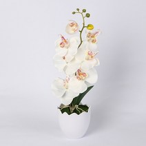 인조 인공 호접란 조화 화분 화이트 실내 베란다 홈가드닝 소품 인테리어