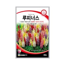 모칸도 (무배)세계 루피너스 꽃씨 (30립), 1개
