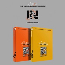 스트레이키즈 인생 앨범 정규 1집 리패키지 일반반 IN生 [버전선택], B 버전 옐로우