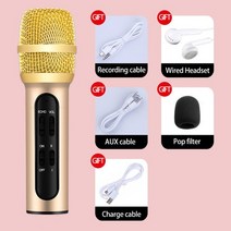 방송 장비 소리 음향 무선 스튜디오 마이크 휴대용 전문 가라오케 콘덴서 노래 녹음 라이브 microfone for mobile phone computer with echo, 협력사, 황금