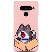 데이투데이 LG V50 케이스 박스냥이 하드 LM-V500N