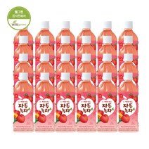 웰그린 스위츠 자두녹차 페트음료 500ml * 24개입, 24개