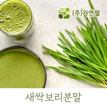 자연웰 48종류 천연 곡물가루 야채분말 천연조미료 율무가루 검은깨가루 팥가루 시금치분말 비트분말 카카오분말 석류분말 강황 도라지 히비스커스 새싹보리 ABC주스, 국산새싹보리분말250g