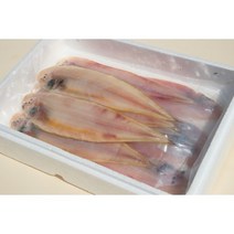 직접가공한 반건조 박대 서천 군산 명물 제수용 요리용 반찬용생선, (대)5마리