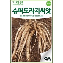 슈퍼 도라지 씨앗 으뜸 도라지씨 약초 종자 씨 2000알, 1개