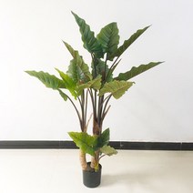 인조 식물 실내 장식 거북이 등나무 떡갈잎 고무나무, 1.2m 높이/  거북이 나무(화분포함)