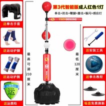 가정용샌드백 권투 피트니스 샌드백 홈트 태권도, 11