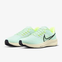 나이키 운동화 남성 맨즈 페가수스 39 DH4071-301