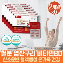 식약처인증 임산부 철분제 추천 수유부 초기 중기 임신 기력없을때 엽산 멀티 비타민 B D 플러스 영양제 뼈에좋은 뼈건강 보충제 항산화제 햄철 헴철 푸마르산 제일철 임신준비 Fe