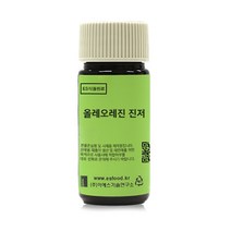 ES식품원료 올레오레진 진저 OR GINGER, 1kg, 1kg, 1개