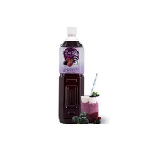 파낙스 참다음 복분자 음료베이스, 1.5L, 6개