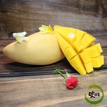 맛가득 골드망고 항공 애플망고 대과 태국 브라질 필리핀 코끼리 무지개 미니 최상품, 태국 (항공)골드망고 대과 10과 4Kg, 1개