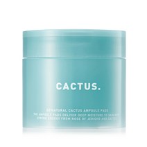 국내유통 쏘내추럴 캑터스 앰플 슬라이스 패드 130g, 40개입 × 1개