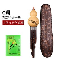 호이스트 악기 전문 연주형 C튜닝 B초등학생 어린이 어른 낮추기-181597, 옵션04, 단일옵션